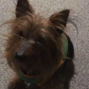 Meet your Posher, Braedyn